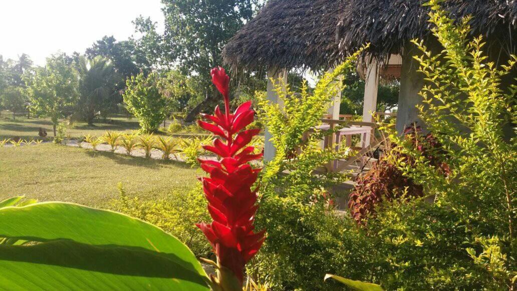 Lénakel Alofa Beach Bungalows מראה חיצוני תמונה